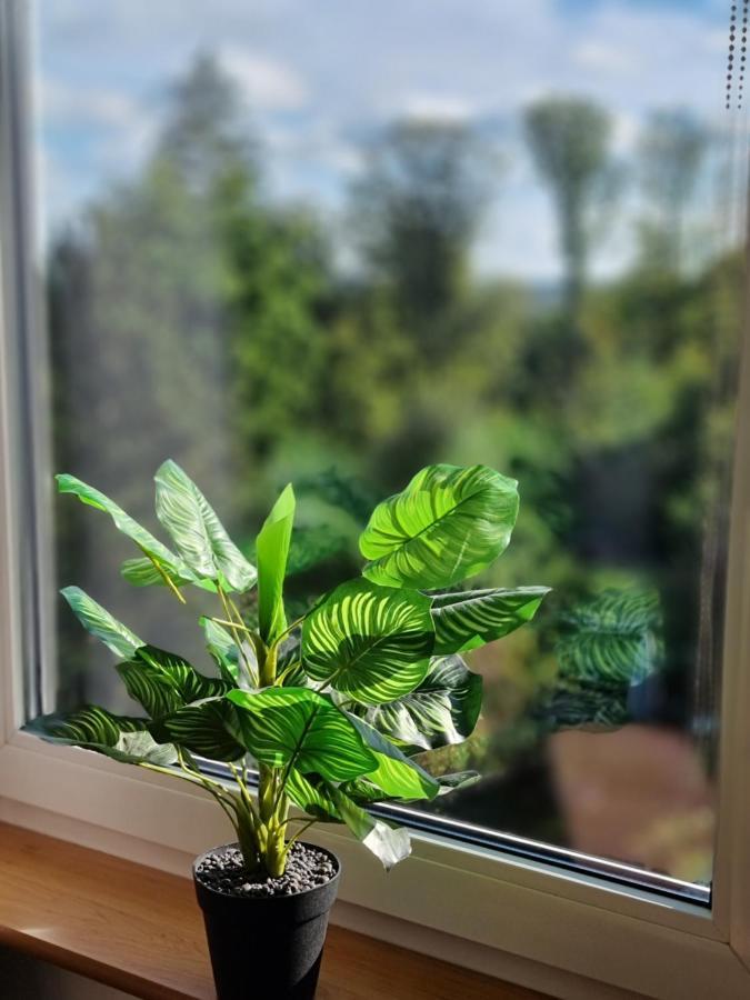 Sweet Home Вермелскирхен Екстериор снимка